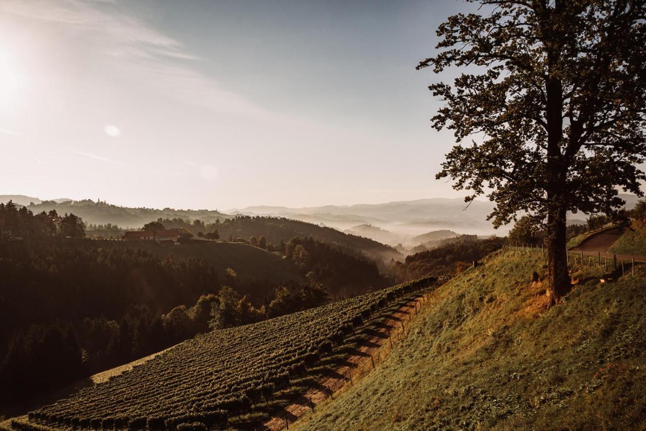 루트스카치 Weingut Kollerhof Am Eichberg 빌라 외부 사진