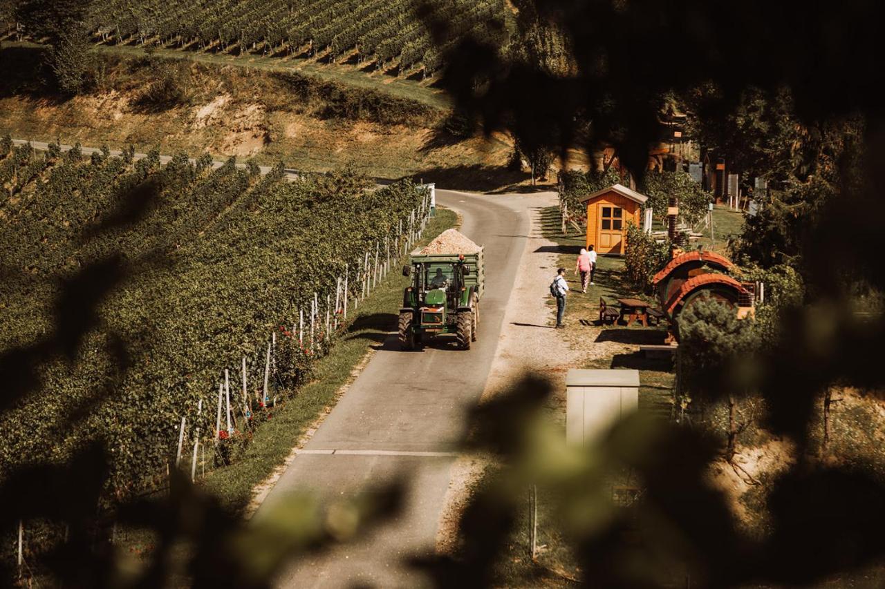 루트스카치 Weingut Kollerhof Am Eichberg 빌라 외부 사진